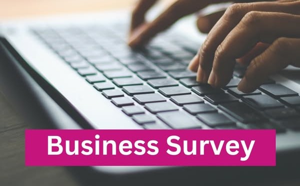 Business Survey